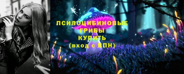 ALPHA-PVP Белокуриха