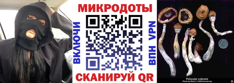 Галлюциногенные грибы Psilocybe  наркошоп  Комсомольск 